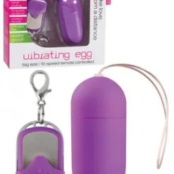 Vibrating Wireless Egg Big Purple